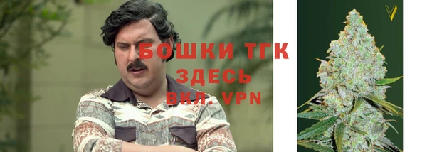 меф Вяземский