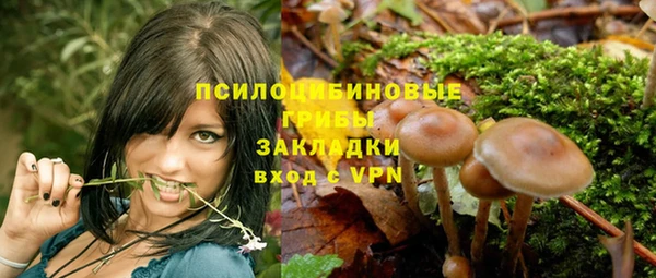 меф Вяземский