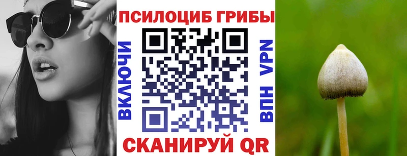 Галлюциногенные грибы Magic Shrooms  Лыткарино 
